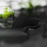 Çevre Bilimlerinde İleri Teknolojilerin Kullanımı (Kopya) (Kopya) (Kopya)