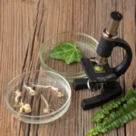 Alternatif Tıp ve Modern Tıp Arasındaki Farklar (Kopya) (Kopya) (Kopya)