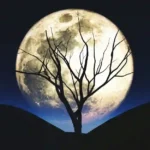 Dolunayın Burçlar Üzerindeki Etkileri (Kopya) (Kopya) (Kopya) (Kopya)