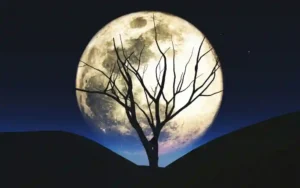 Dolunayın Burçlar Üzerindeki Etkileri (Kopya) (Kopya)