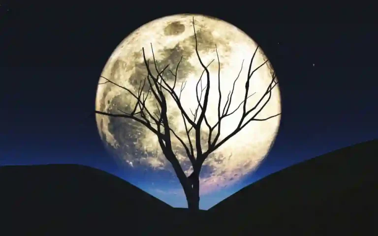 Dolunayın Burçlar Üzerindeki Etkileri (Kopya) (Kopya)