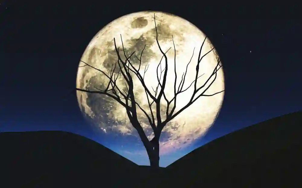 Dolunayın Burçlar Üzerindeki Etkileri (Kopya) (Kopya) (Kopya) (Kopya)