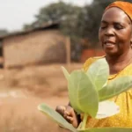 Afrika’da Sürdürülebilir Tarım Çözümleri (Kopya) (Kopya)